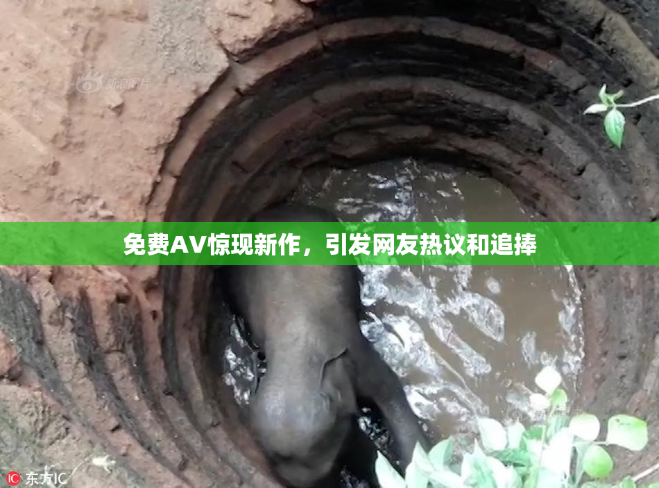 免费AV惊现新作，引发网友热议和追捧