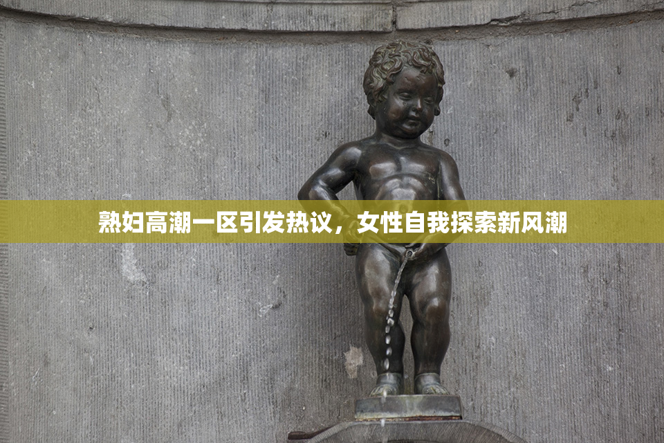 熟妇高潮一区引发热议，女性自我探索新风潮