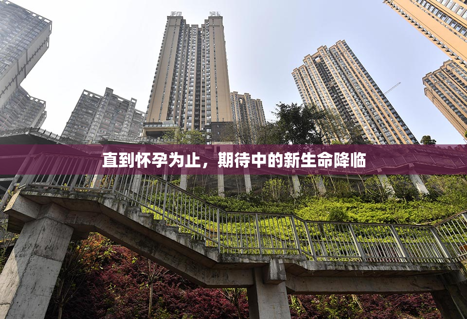 直到怀孕为止，期待中的新生命降临