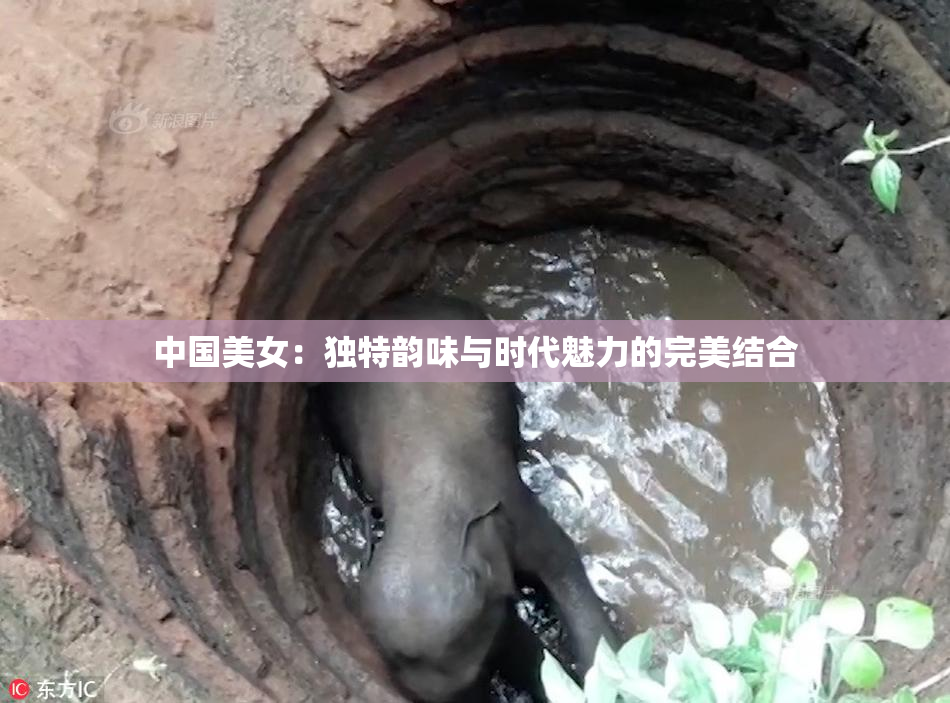 中国美女：独特韵味与时代魅力的完美结合