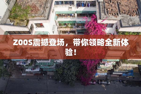 Z00S震撼登场，带你领略全新体验！