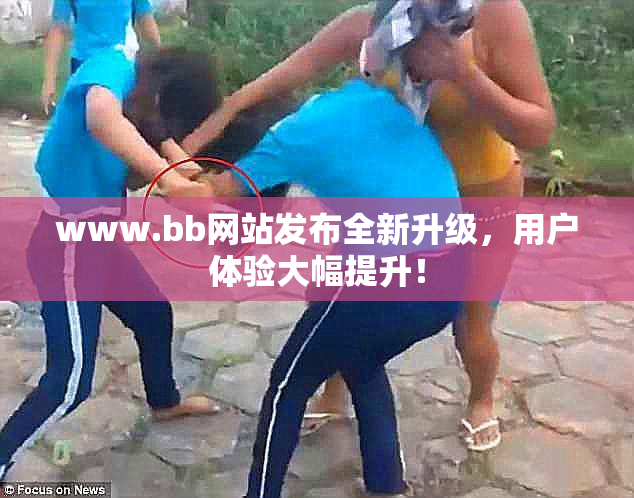 www.bb网站发布全新升级，用户体验大幅提升！