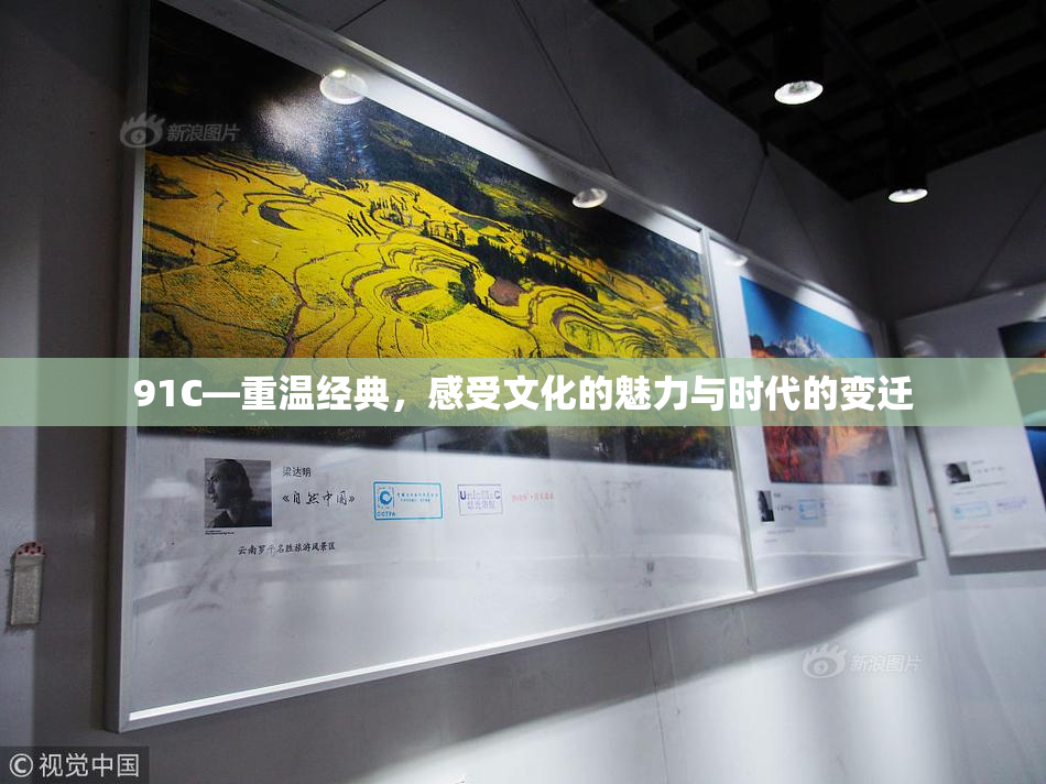 91C—重温经典，感受文化的魅力与时代的变迁