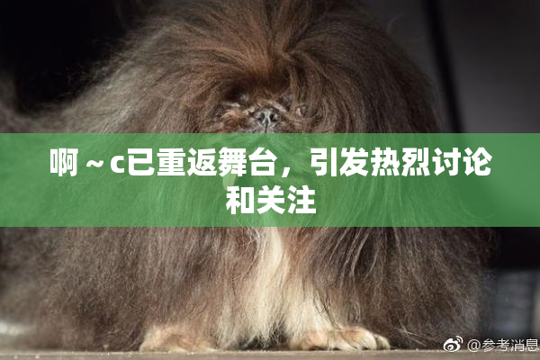 啊～c已重返舞台，引发热烈讨论和关注
