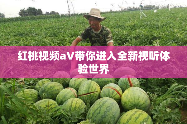 红桃视频aV带你进入全新视听体验世界