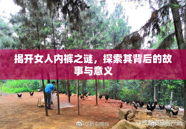 揭开女人内裤之谜，探索其背后的故事与意义