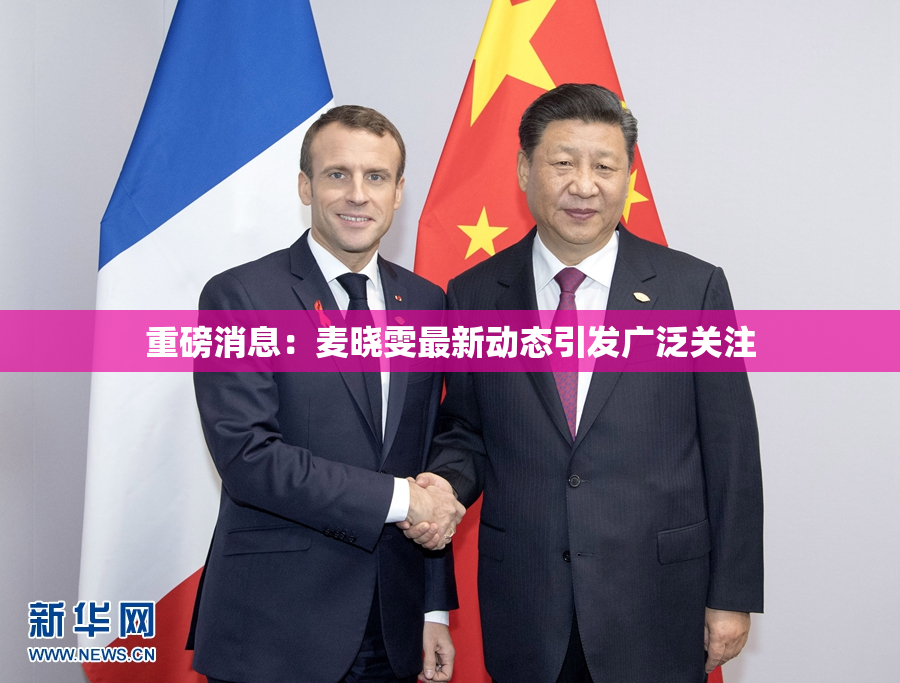 重磅消息：麦晓雯最新动态引发广泛关注
