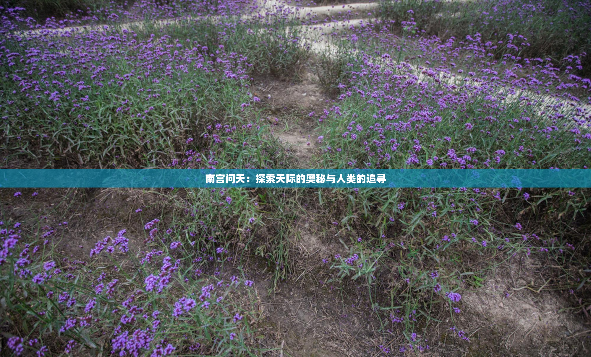 南宫问天：探索天际的奥秘与人类的追寻
