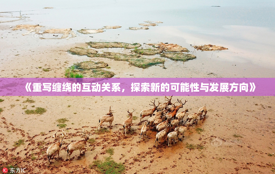 《重写缠绕的互动关系，探索新的可能性与发展方向》