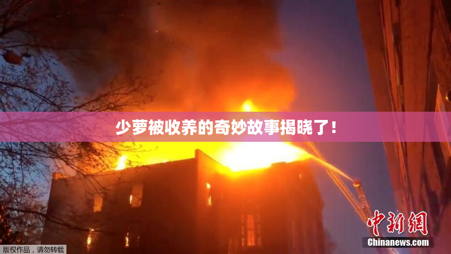 少萝被收养的奇妙故事揭晓了！