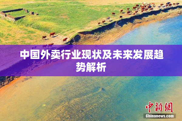 中国外卖行业现状及未来发展趋势解析