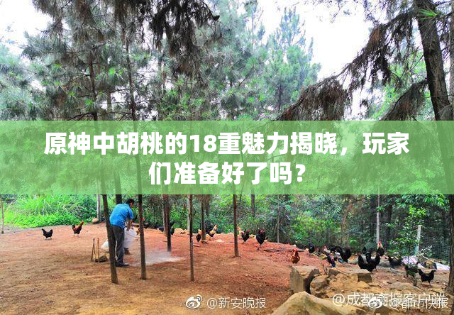 原神中胡桃的18重魅力揭晓，玩家们准备好了吗？