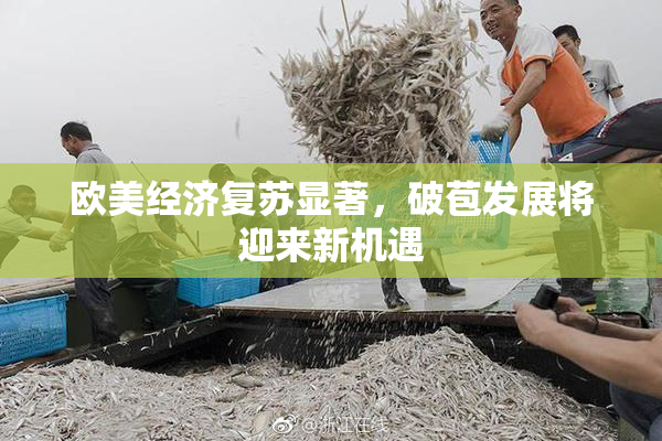 欧美经济复苏显著，破苞发展将迎来新机遇