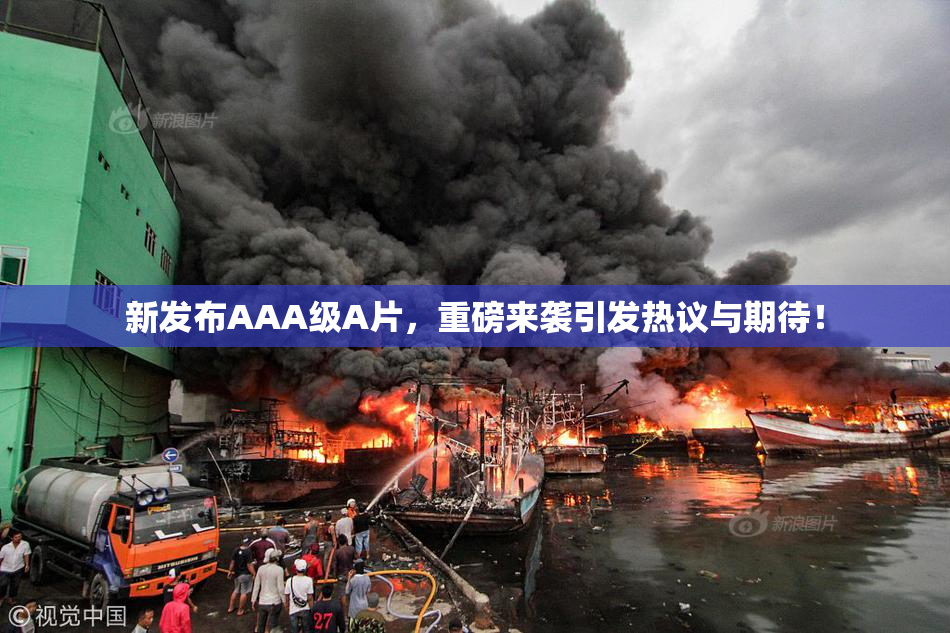 新发布AAA级A片，重磅来袭引发热议与期待！