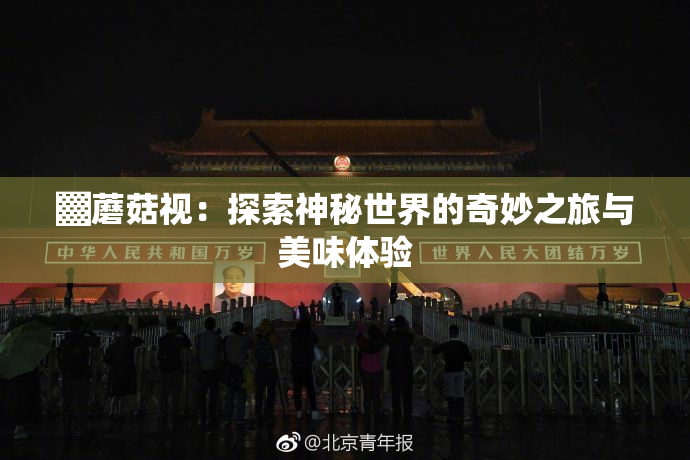 ▓蘑菇视：探索神秘世界的奇妙之旅与美味体验