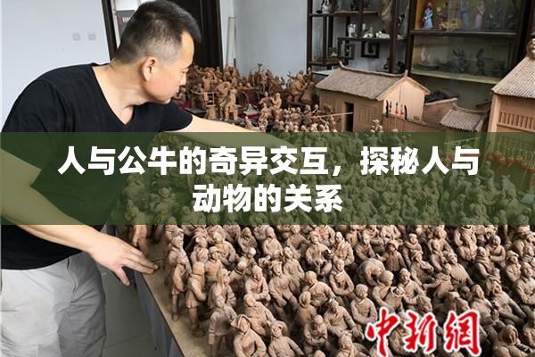 人与公牛的奇异交互，探秘人与动物的关系