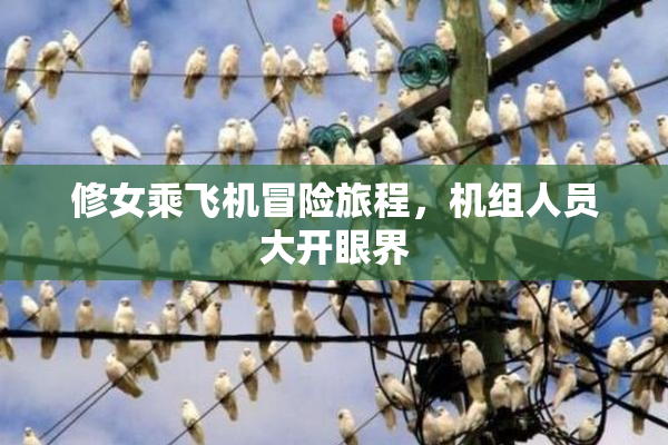 修女乘飞机冒险旅程，机组人员大开眼界