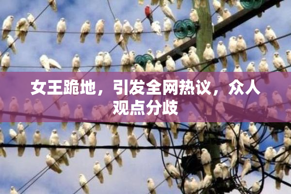 女王跪地，引发全网热议，众人观点分歧