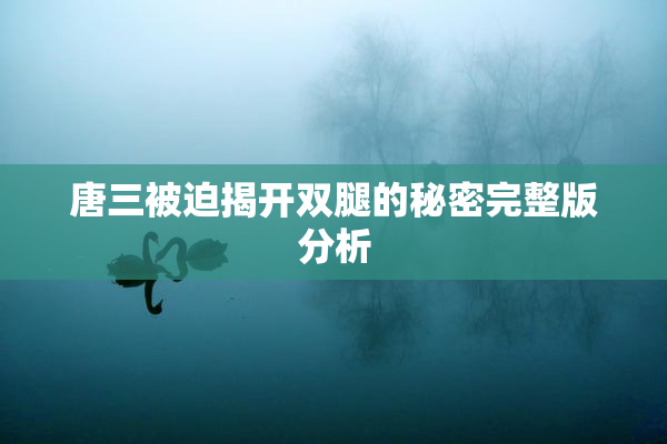 唐三被迫揭开双腿的秘密完整版分析