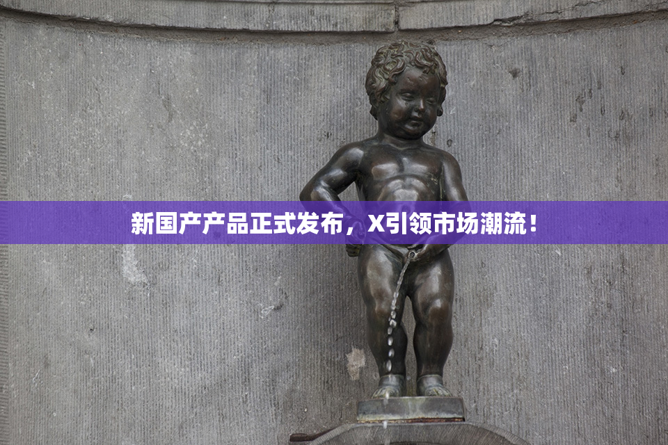 新国产产品正式发布，X引领市场潮流！