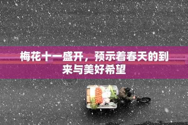 梅花十一盛开，预示着春天的到来与美好希望
