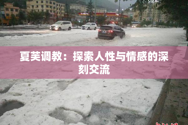 夏芙调教：探索人性与情感的深刻交流