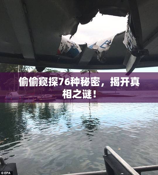 偷偷窥探76种秘密，揭开真相之谜！