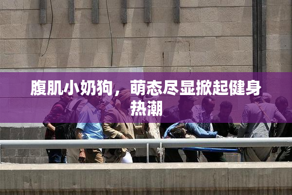 腹肌小奶狗，萌态尽显掀起健身热潮