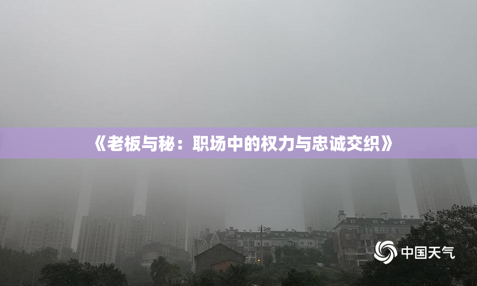 《老板与秘：职场中的权力与忠诚交织》
