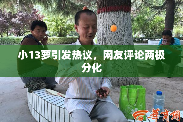 小13萝引发热议，网友评论两极分化
