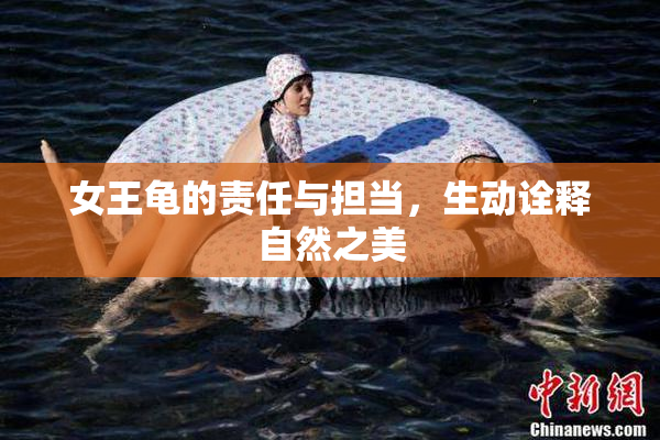 女王龟的责任与担当，生动诠释自然之美