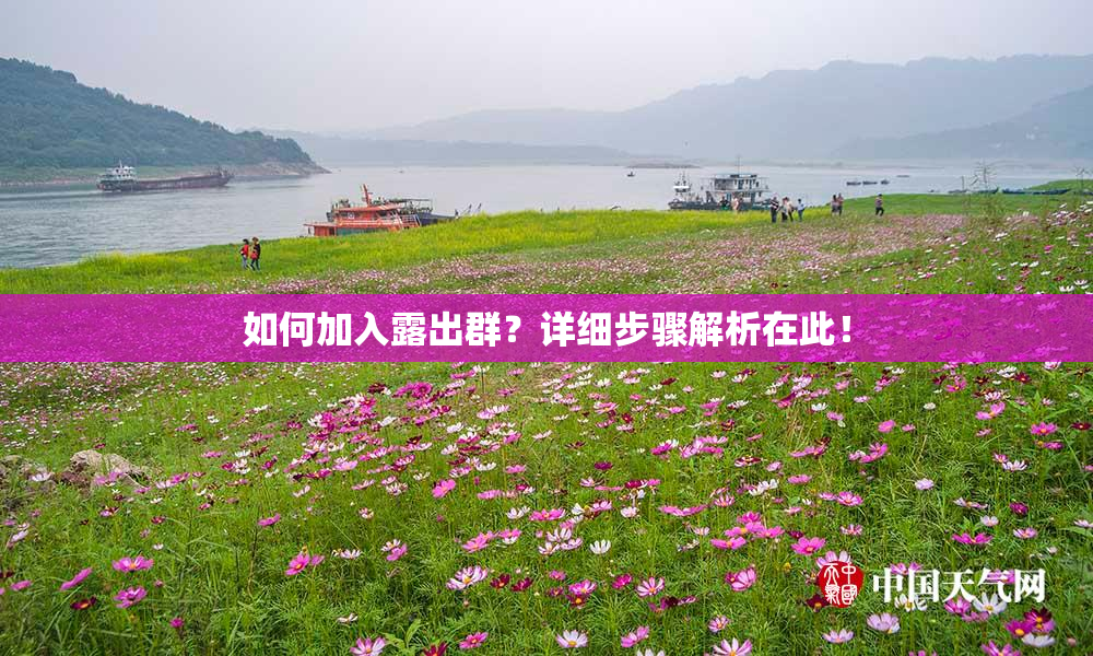 如何加入露出群？详细步骤解析在此！