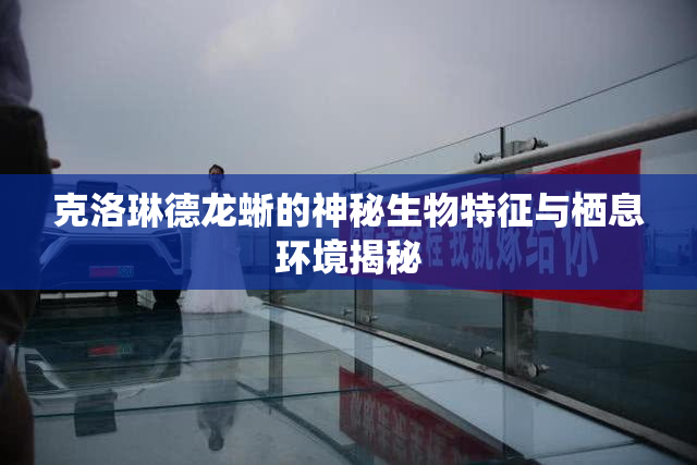 克洛琳德龙蜥的神秘生物特征与栖息环境揭秘