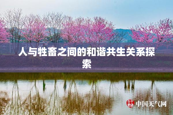 人与牲畜之间的和谐共生关系探索