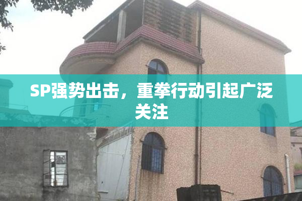 SP强势出击，重拳行动引起广泛关注
