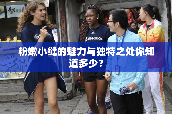 粉嫩小缝的魅力与独特之处你知道多少？