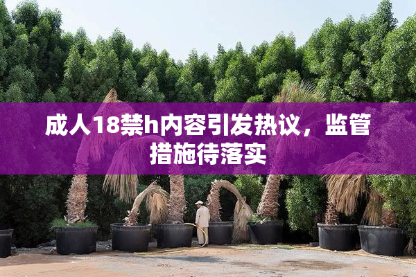 成人18禁h内容引发热议，监管措施待落实