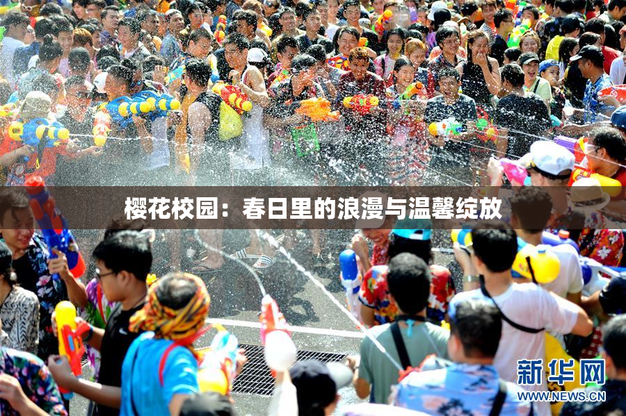 樱花校园：春日里的浪漫与温馨绽放