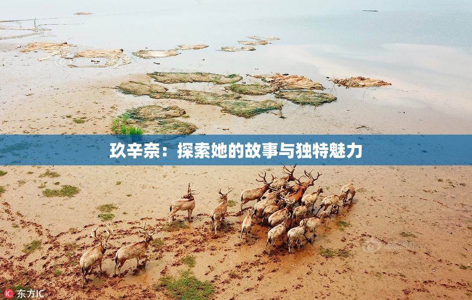 玖辛奈：探索她的故事与独特魅力