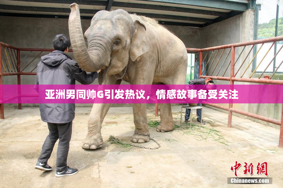 亚洲男同帅G引发热议，情感故事备受关注