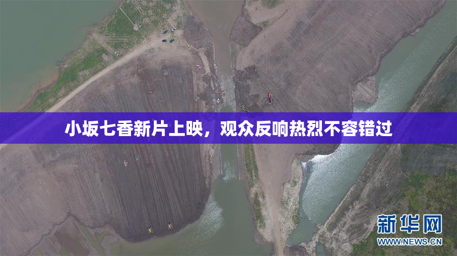 小坂七香新片上映，观众反响热烈不容错过