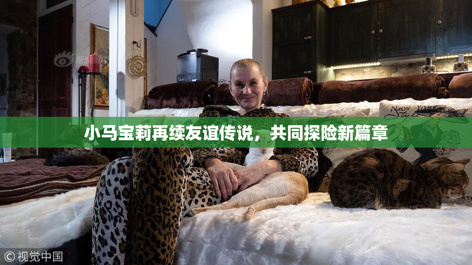 小马宝莉再续友谊传说，共同探险新篇章