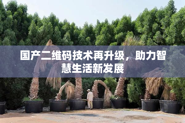 国产二维码技术再升级，助力智慧生活新发展