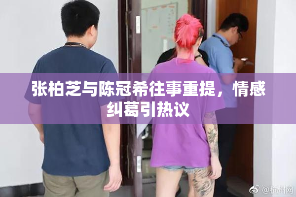 张柏芝与陈冠希往事重提，情感纠葛引热议