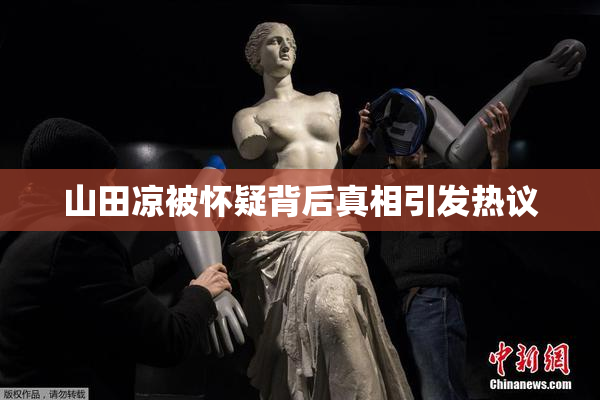 山田凉被怀疑背后真相引发热议