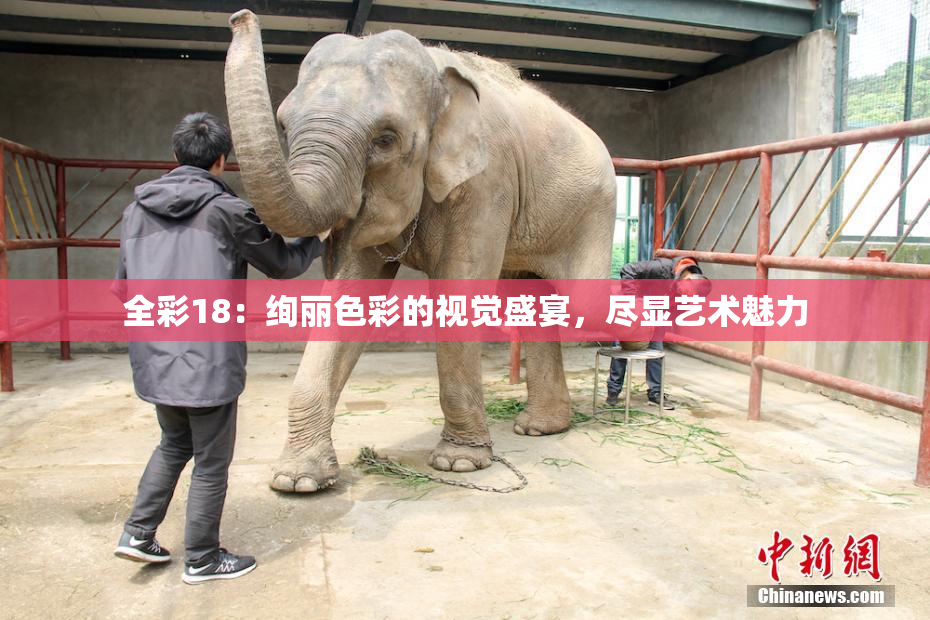 全彩18：绚丽色彩的视觉盛宴，尽显艺术魅力