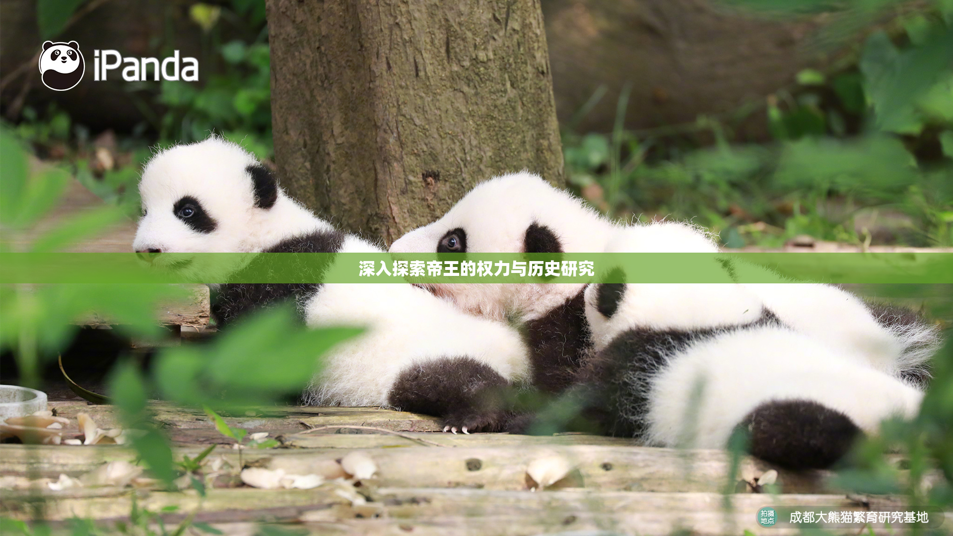 深入探索帝王的权力与历史研究