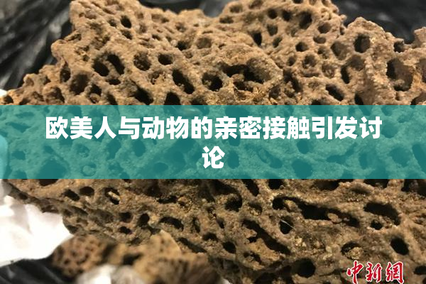 欧美人与动物的亲密接触引发讨论