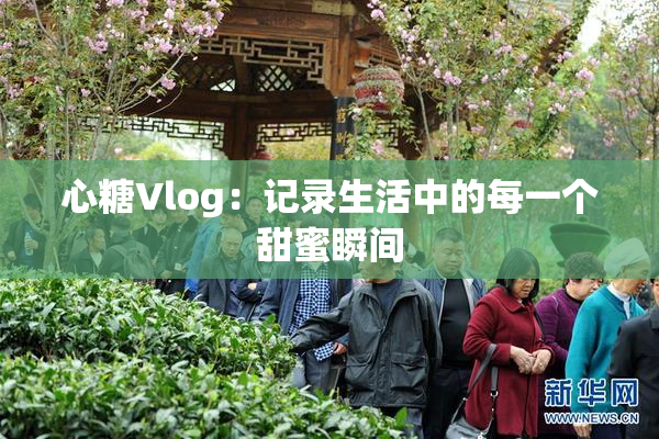 心糖Vlog：记录生活中的每一个甜蜜瞬间