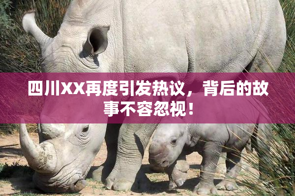 四川XX再度引发热议，背后的故事不容忽视！